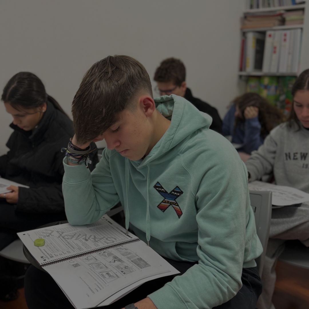 WhatsApp Image 2026-03-23 at 20.36.07